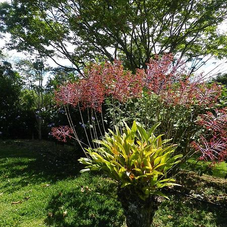 El Paraiso Verde B&B Atenas Zewnętrze zdjęcie
