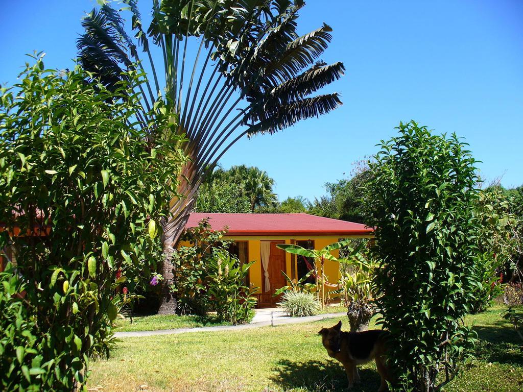 El Paraiso Verde B&B Atenas Pokój zdjęcie